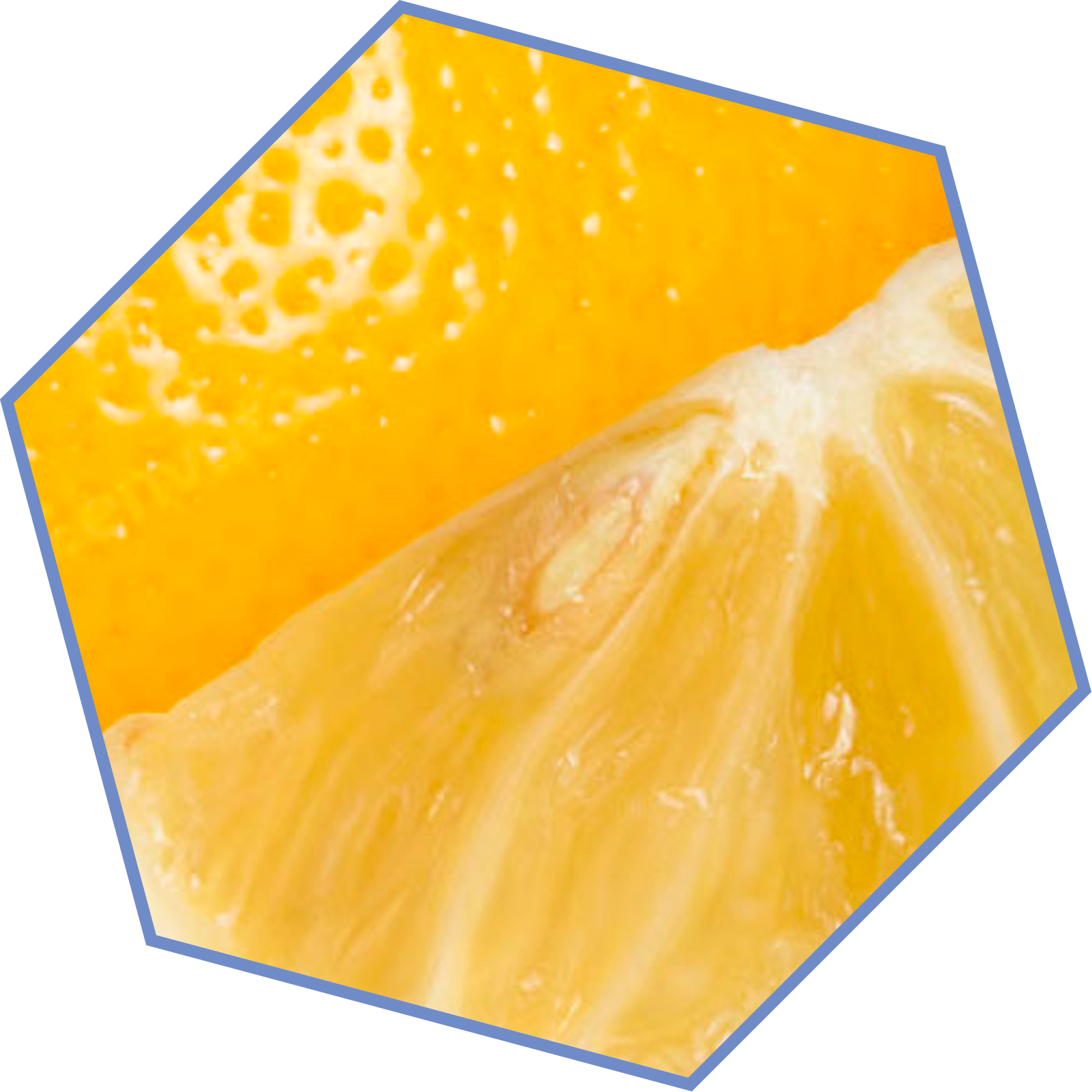 Frutos frescos como limón y naranja, representantes de la familia aromática cítrica.