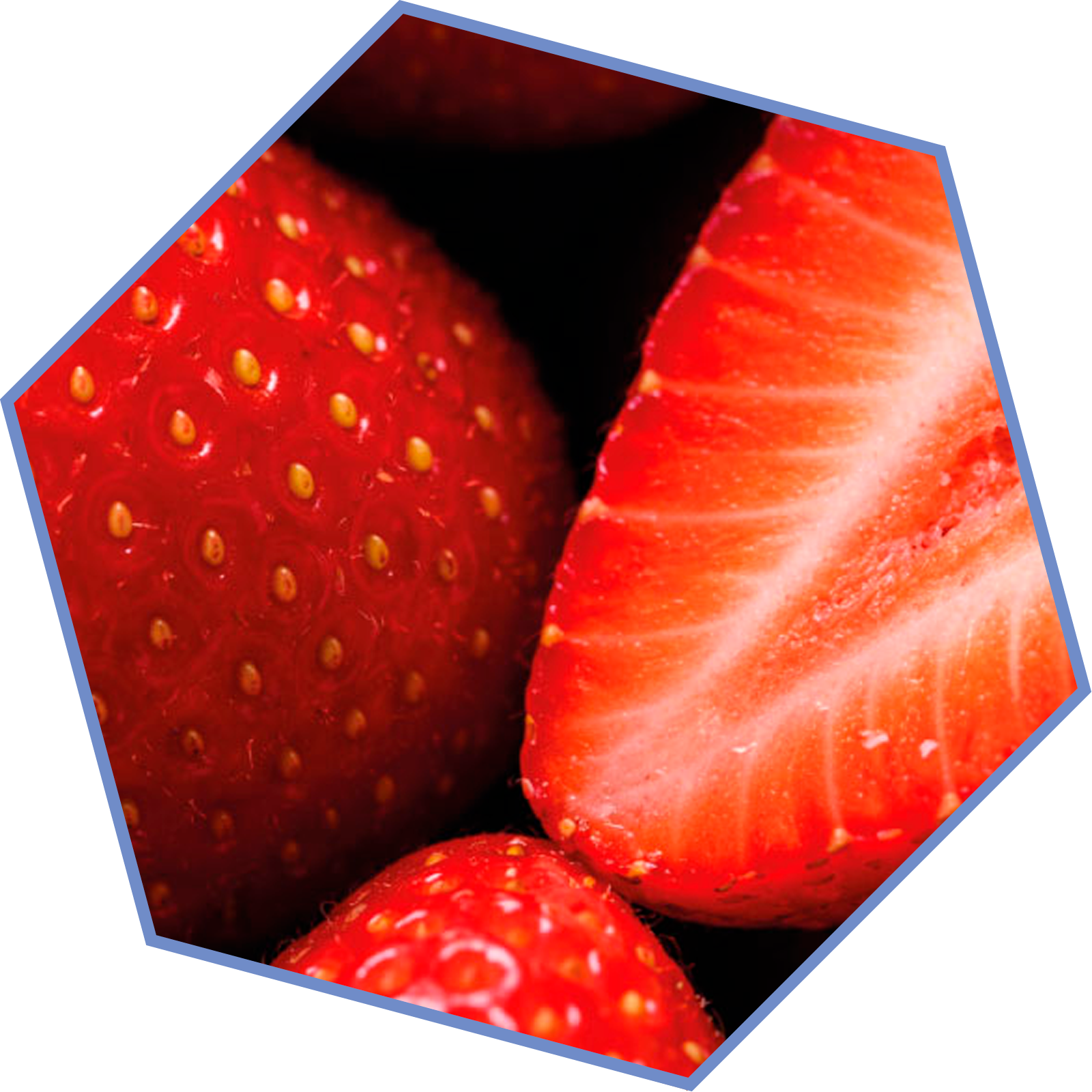 Frutillas frescas y jugosas que caracterizan los aromas de la familia aromática frutal.