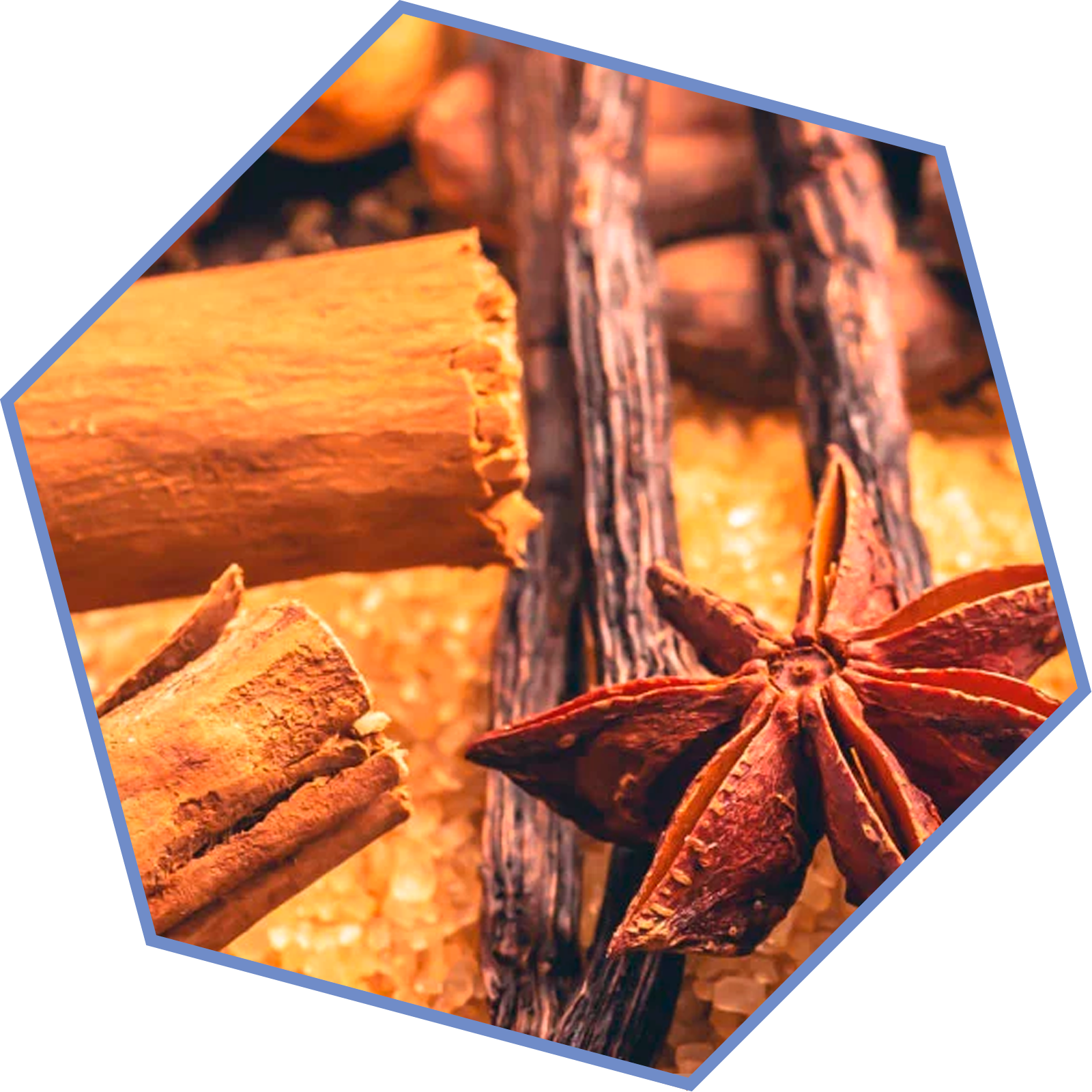 Canela y anís estrellado, especias características de las familias aromáticas orientales